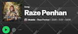 do professional spotify music promotion