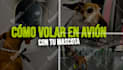 video editing in spanish