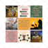 a premium business website that generates leads