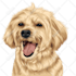 draw cartoon vector pet in 24 hours
