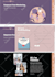 build a wix website that converts visitors into customers
