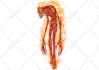 draw dragon creature, dnd art sprite, and fantasy art