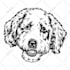 draw your pet in black and white line art illustration