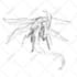 make a sketch of your monsters and creatures