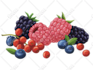 make a realistic food illustration in my style
