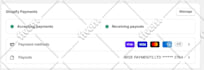 setup shopify payment gateway and wise account activation