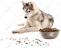 remove background convert jpg to png resizing super fast