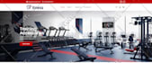 fix and create professional modern wordpress responsive website development