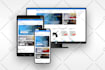 design a professional wordpress website that actually works