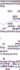 make you a sprite sheet