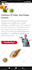 make professional wix ecommerce, online store, shop design