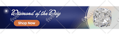 be your professional canva pro virtual assistant