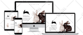 craft stunning modern wordpress website online store