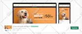 design, copy or clone your shopify website or shopify store