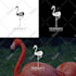 design awesome animal logo