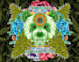 make psychedelic illustrations for you