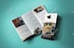 do a professional trifold brochure, bifold brochure and flyer design