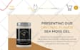 transform website wpbakery to elementor pro