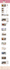 do wordpress website development, design or redesign wordpress blog website