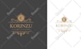 design luxury handwritten signature logo