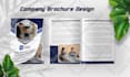 design business brochure company profile booklet design annual report