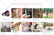 do shopify custom coding and theme customization