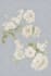 design seamless watercolor vector custom textile pattern
