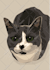 draw your pet with my style