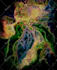 create exclusive abstract art and illustrations