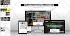 create wordpress website design and development