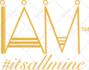 turn a low resolution image into a high resolution vector