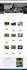 create  a professional  wordpress website