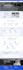 create wordpress website, custom website, business website development