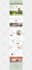 design a mailchimp template