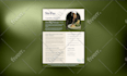 design a professional, winning capability statement