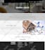 build shopify store, design or redesign shopify website, dropshipping store