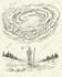 draw premium custom line art illustrations for your project