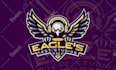 draw a custom mascot logo for gaming, sports and your brand