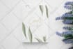 custom business logo with brand guidelines and copyright