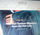 do wordpress website design or wordpress blog