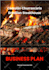 write a professional investor ready business plan