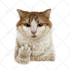 draw custom pet portrait, dog, cat portrait, royal, realistic, abstract artistic
