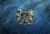 design vintage or family crest logo design