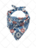 do any background removal, or clipping path in 24 hours