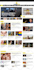 develop an autopilot, autoblog wordpress website for any niche