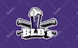 design a stunning league, club and sports team logo