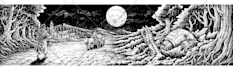 draw a detailed gothic line art and dark illustration