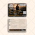 do urgent any graphic design flyer, brochure, postcard, vector redesign work