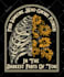 create bulk pod tshirt designs for print on demand stores