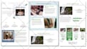 design and develop custom wordpress website responsive